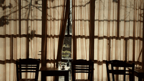 上 爱与不爱,是癌是如来!