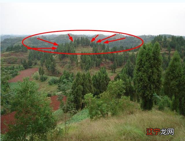 如何看墓地风水是否旺运势！！！！