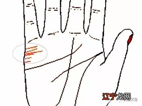 手相看婚姻准吗