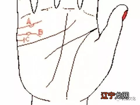 手相看婚姻准吗