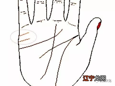 手相看婚姻准吗