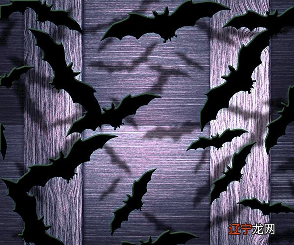 蝙蝠飞进屋里是吉是凶 蝙蝠飞进家里预示什么 蝙蝠入屋是不吉利的