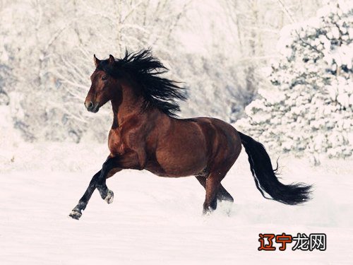 风水堂：八字驿马的定义及解析