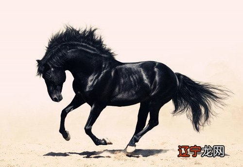 风水堂：八字驿马的定义及解析