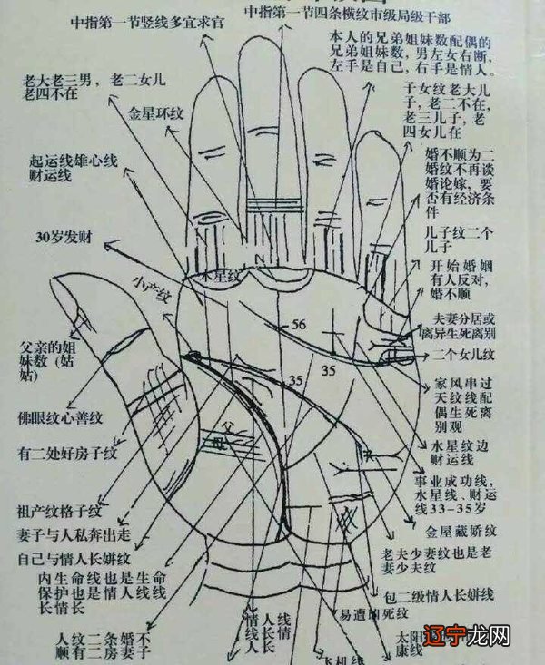 指纹算命_指纹算命测运气_看指纹算命