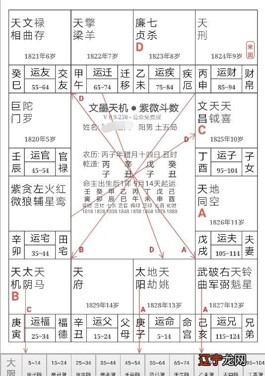 杀破狼格-破军果断勇敢具开创性