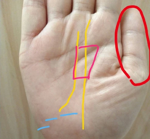 手相怎么看财运 有哪些