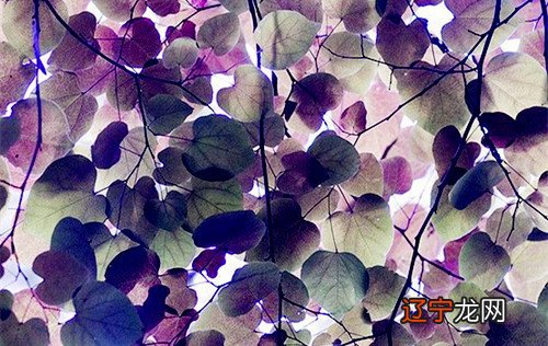 图 周易真的有捷径吗，捷径在哪里？