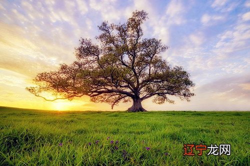 图 周易真的有捷径吗，捷径在哪里？