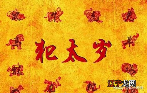 虎属_虎扑网属门户吗?_属虎