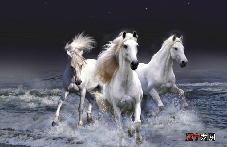 详解 90马93鸡婚配为大忌,生肖属相马和属鸡结婚真的不合吗