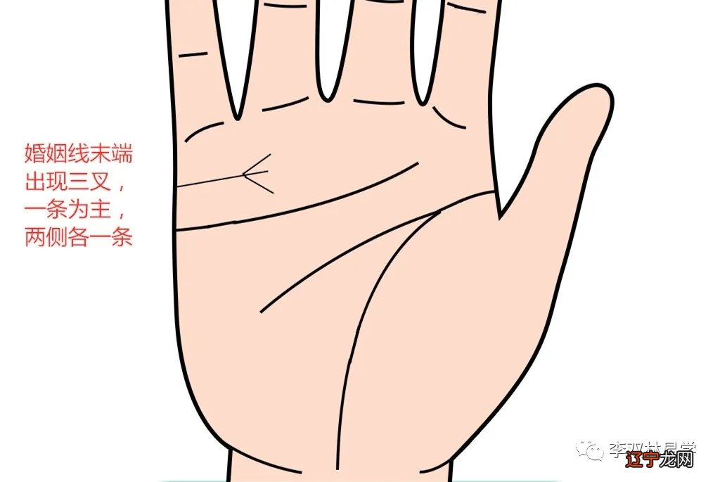 爱情线手相_手相没有爱情线_手相爱情失望线图解