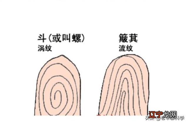 手上有断纹是什么说法 手上有断掌线命运如何