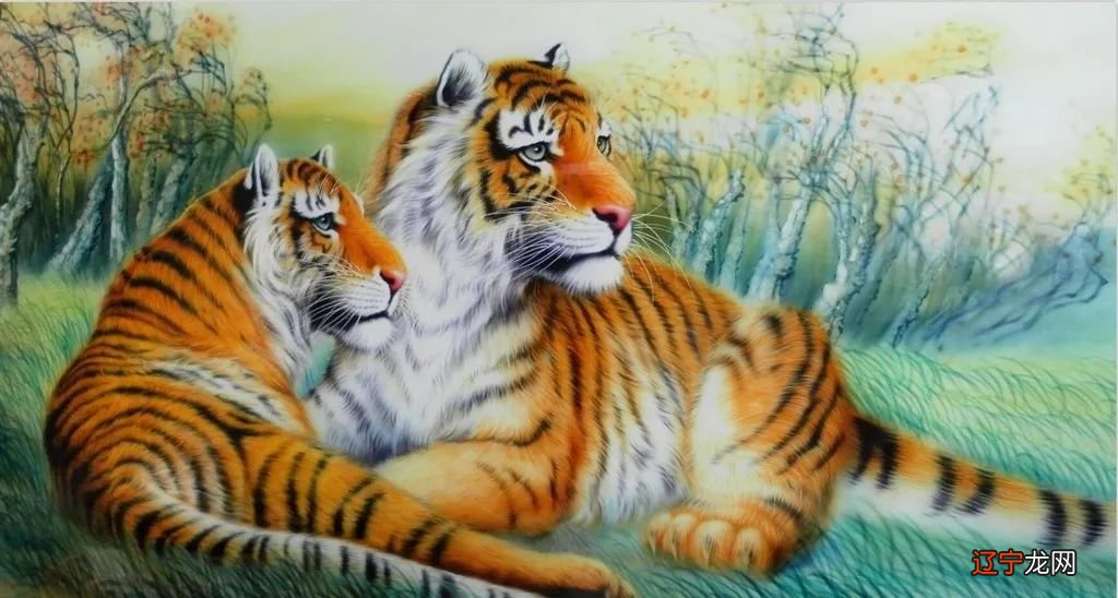 86年虎五行属什么_86年属虎36岁有一灾_1962年虎五行属什么