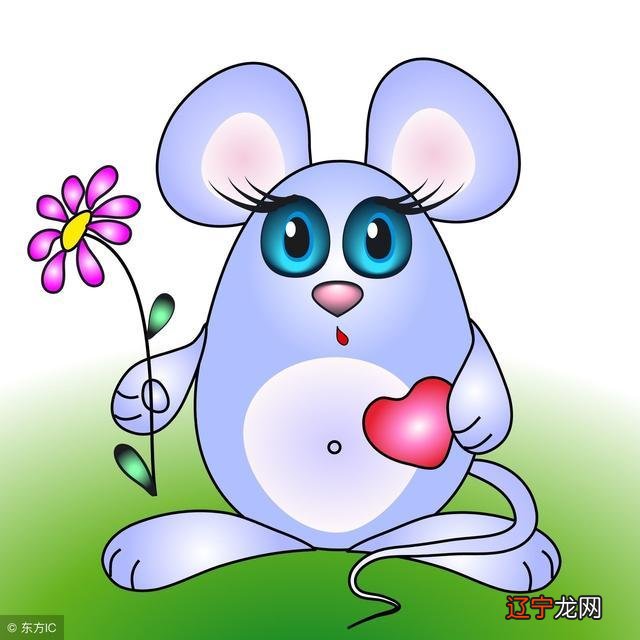 属相婚配鼠与什么生肖不宜婚配好吗,你知道吗