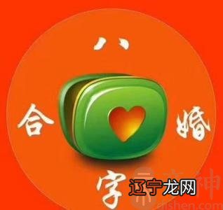 八字合婚合的是什么,八字合婚怎么合