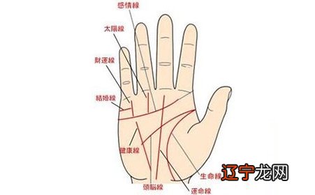 三条婚姻线图解