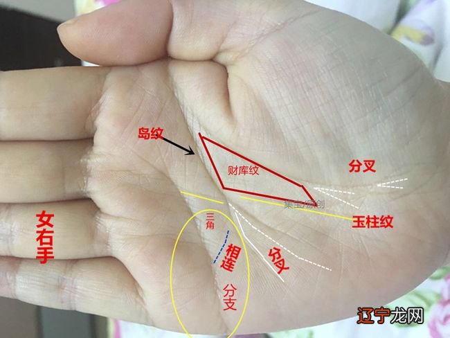 三条婚姻线图解