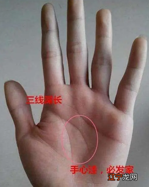男人发财手相的特征有哪些