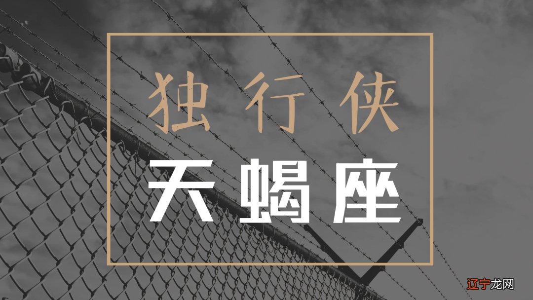 我的男友是黑道老大_黑道老大是我妻_十二星座谁是老大