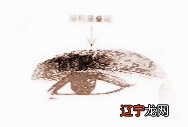 【李向东】如何看?图解眉者,媚也。。