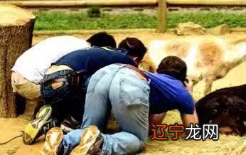 梦见一个男孩往馒头上撒尿