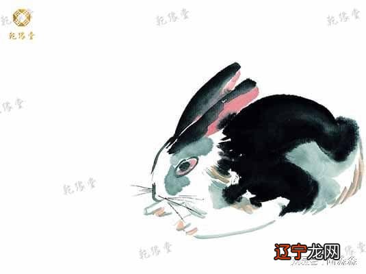 生肖蛇兔猪一家好吗_属蛇属兔 生什么生肖最好_虎尾兔头年属那生肖