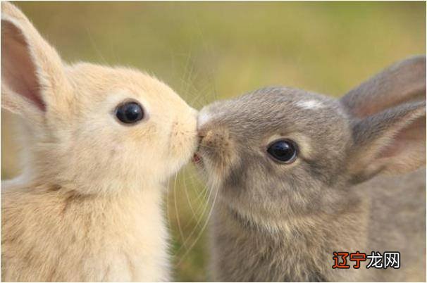 十二生肖逢生此日的命运初一，你知道吗？