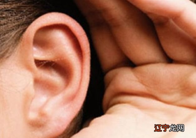 分析招风耳运势好不好