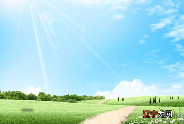 在兔年属蛇的人的命运及运程