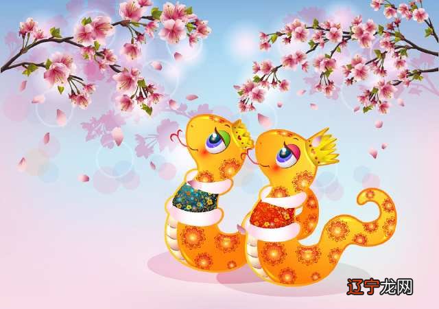 在兔年属蛇的人的命运及运程