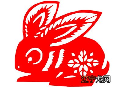 在兔年属蛇的人的命运及运程