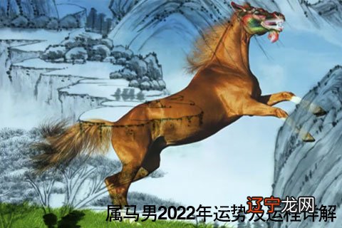 猪属相2017年运势,这是怎么回事的人运程如何?