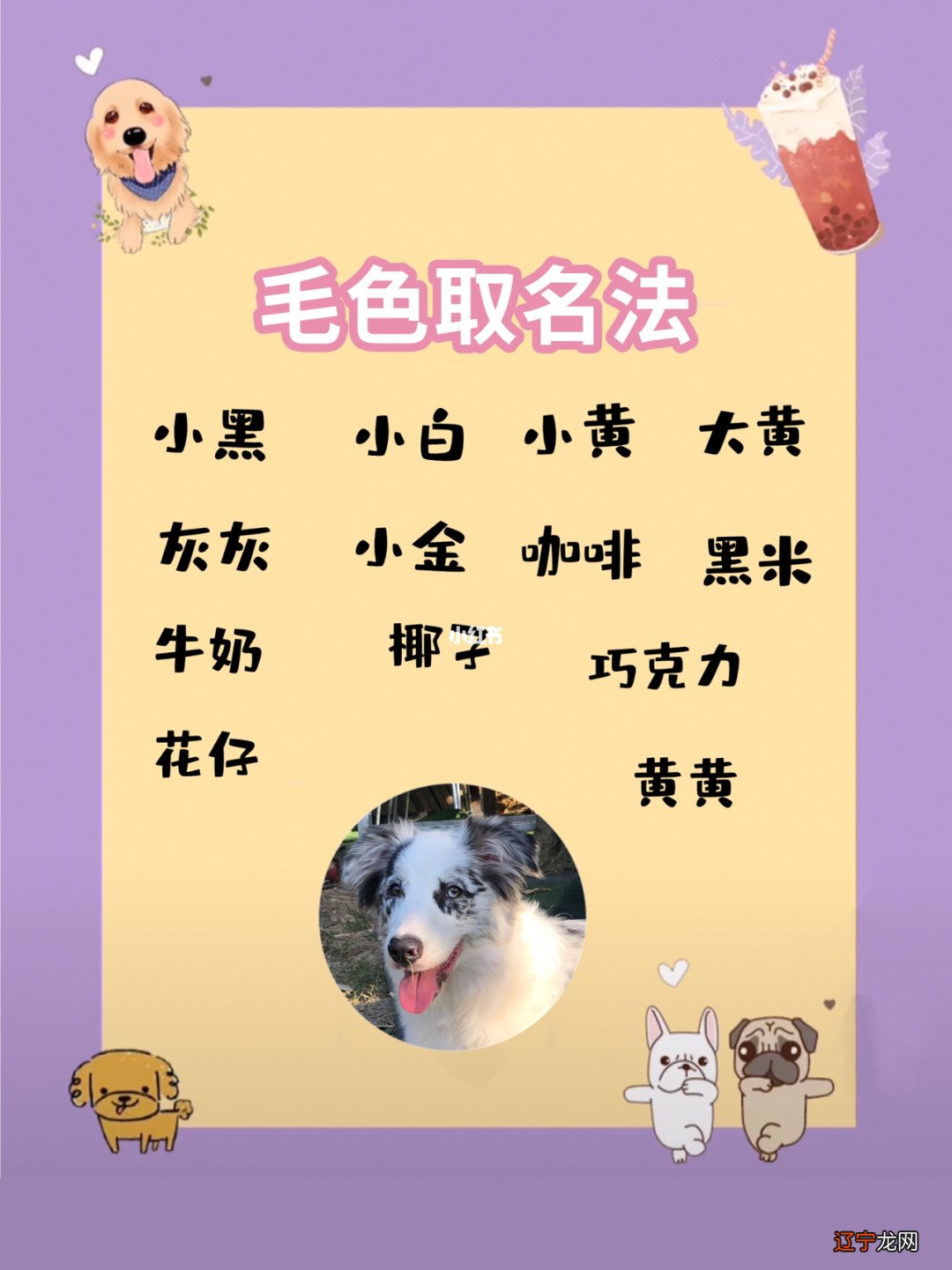 九月属狗的起名字注意什么 女孩名字属水寓意又好