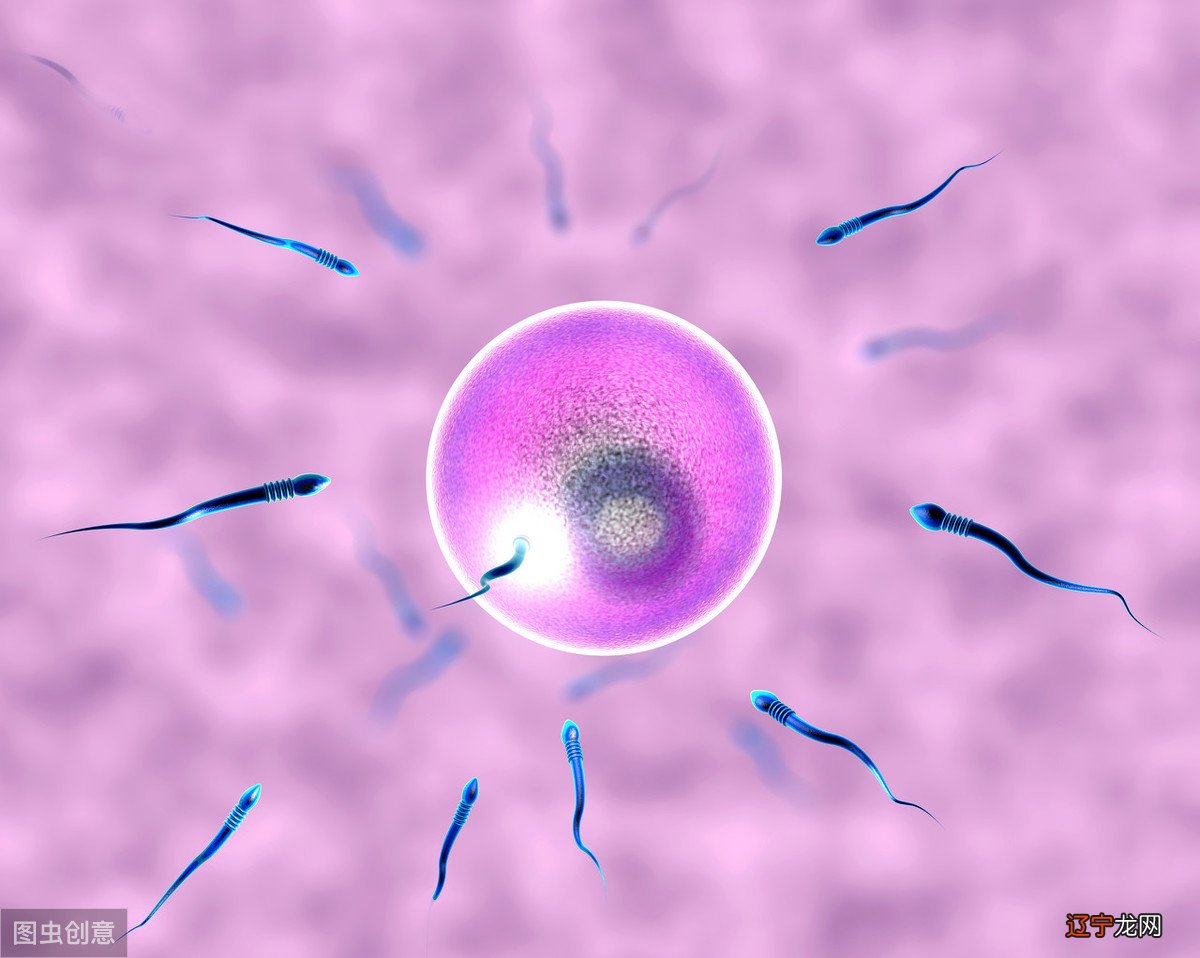风水堂:八字算不准的原因是什么