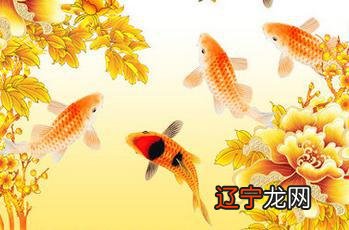 壁上土命的女孩命好不好 土命运势