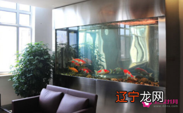 慈世堂:一门无法解释的风水禁忌,你知道吗?