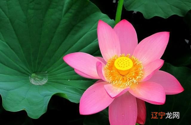 风水和命理结合 茜倩星座文化11月26日11:48关注确定不再关注此人吗