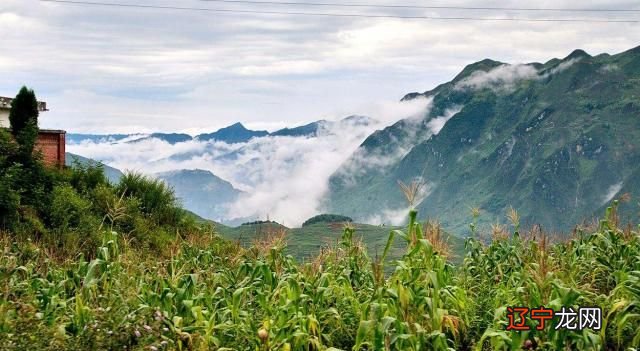 风水和命理结合 茜倩星座文化11月26日11:48关注确定不再关注此人吗