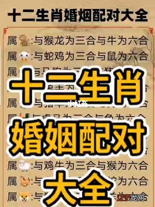 属猪的和什么属相最配,如果与你感情上稳中有升的生肖人士成为你的情侣