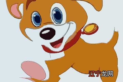 属狗的和什么属相最配属狗的属相婚配表