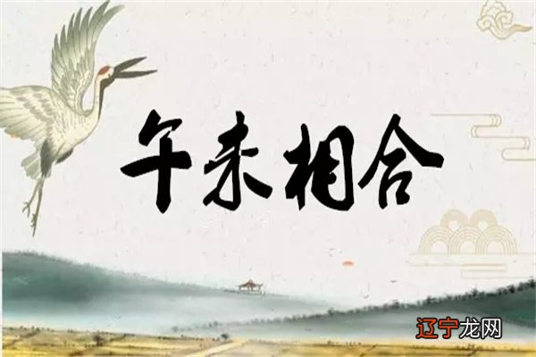 八字午未合化火土详解