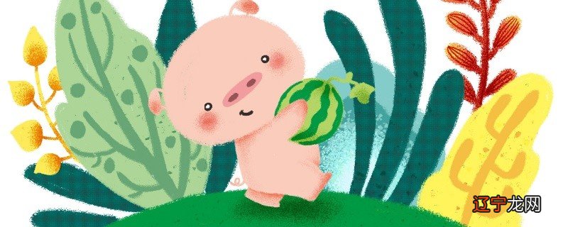 属猪1995年生肖猪和什么生肖最配从生肖看婚姻