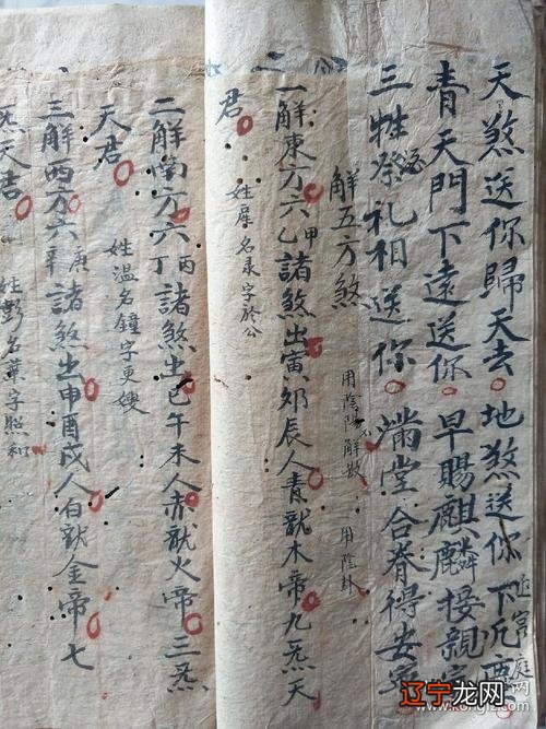 论八字飘云版安卓南方批八字软件破解版破解版下载多，软件介绍软件评论下载地址