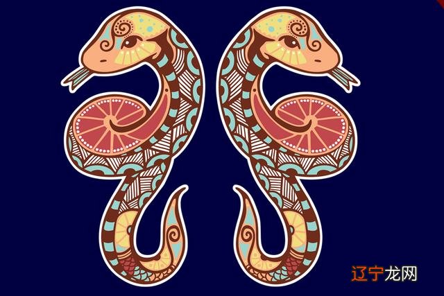 双子座是水星主宰的风象,常常怀有一颗好奇的心