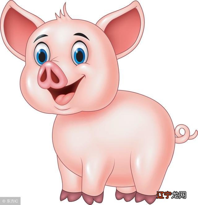 属兔的女人和什么属相最配 属兔女最佳婚配属相