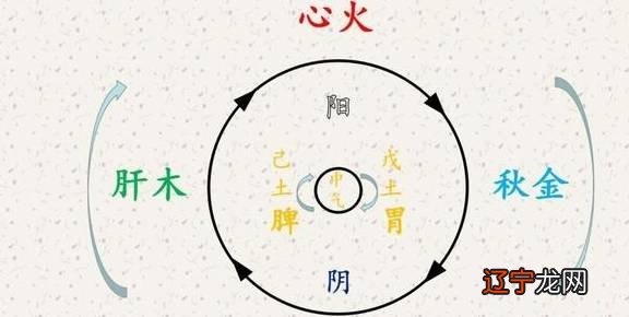 阴阳五行的分类和对应表上