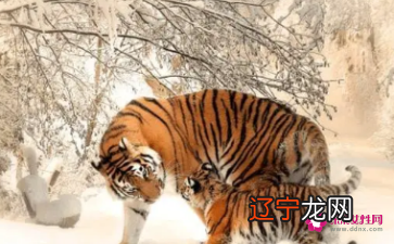 刚出生宝宝的小名,好听洋气洋气好听好听又文雅!