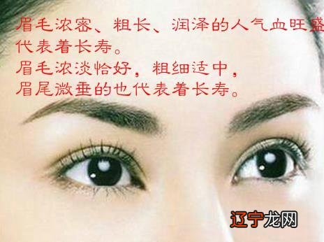 傻大方小编:不同人的眉毛看出个人的福气!
