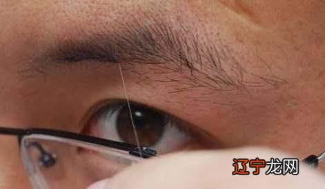 傻大方小编:不同人的眉毛看出个人的福气!